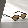 Brown-Tortoise