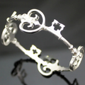Polished Silver