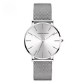 Silver Gray