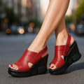 WineRed