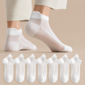 White (6-Pack)