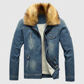 Blue/Brown