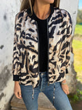 Beige Zebra Pattern