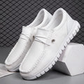 Polar Ice