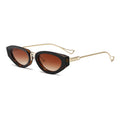 Tortoise Brown