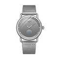 Silver Gray